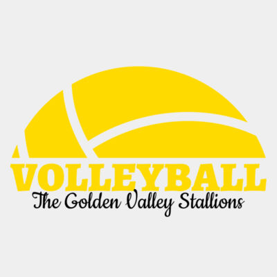 Volleyball 40 Miniatura