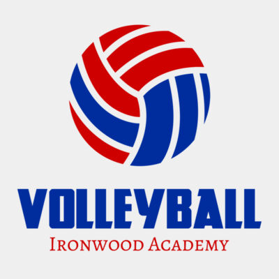 Volleyball 42 Miniatura